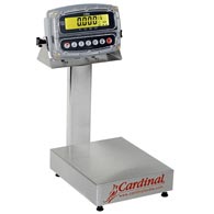 Detecto EB-190 Series Stainless Steel Bench Scales with 190 Indicator