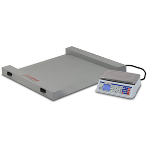 Detecto RW-1000 Run-A-Weigh Portable Floor Scale